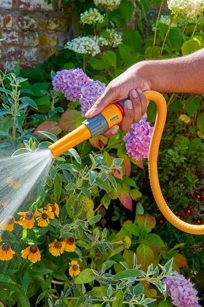 data.blogPost.author